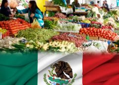 Agro mexicano conquista los mercados más exigentes como el de Japón, destaca la Sader